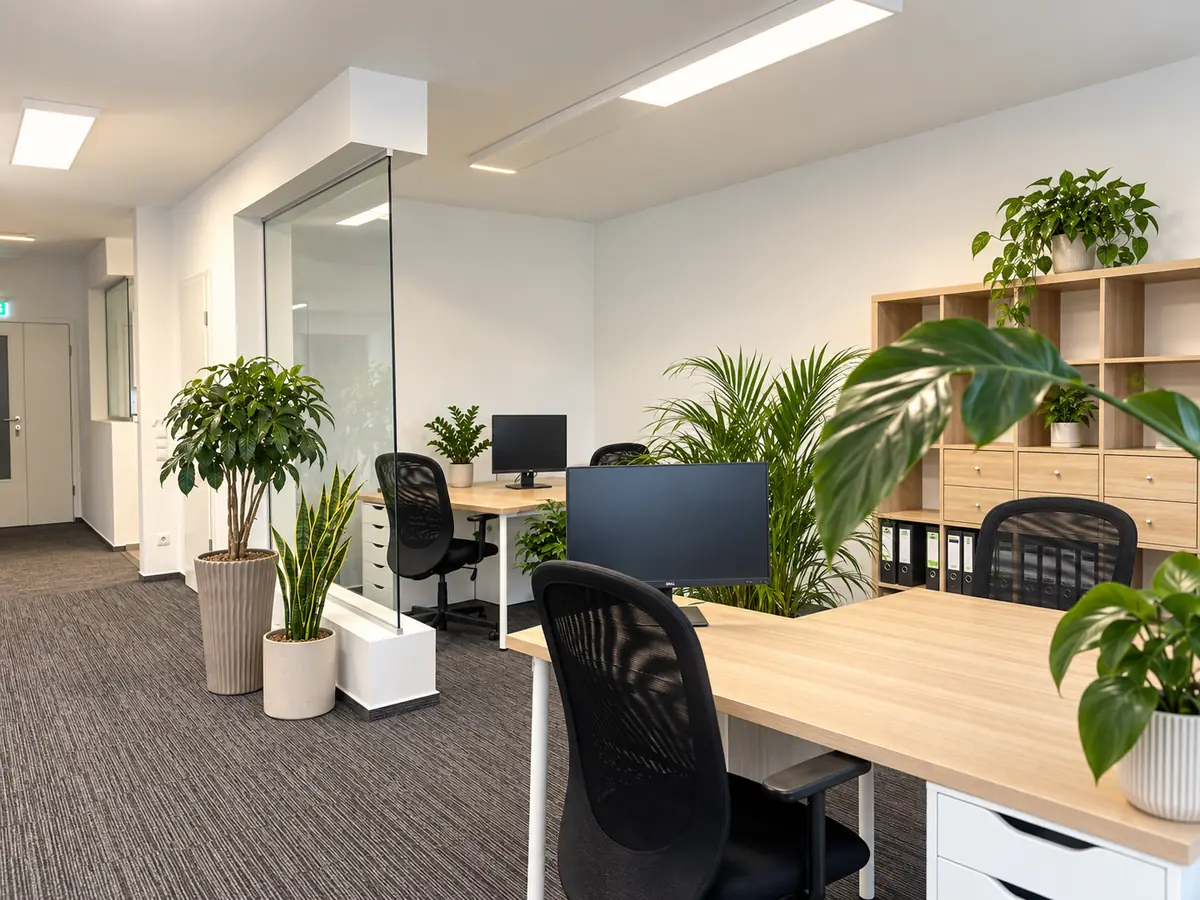 A glass-walled office at the CFAA Kft. premises