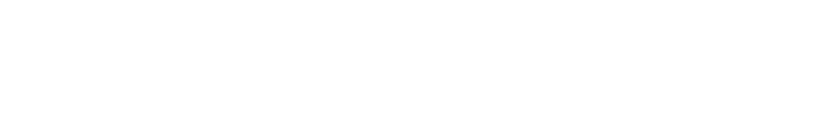 CFAA Corporate Finance Accounting and Audit Kft.